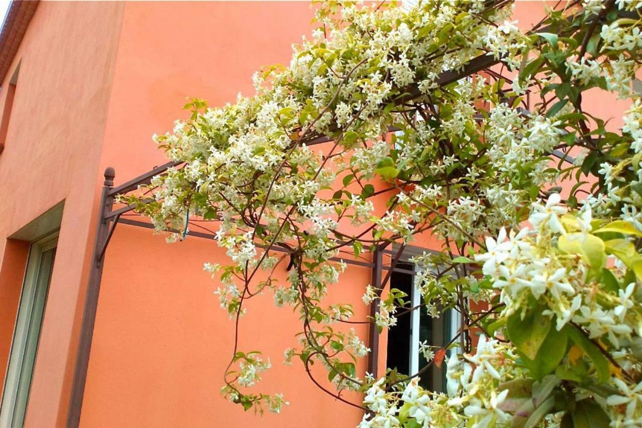 Apartment T3 L'olivier & Jardin 1 A 4 Pers A Terra